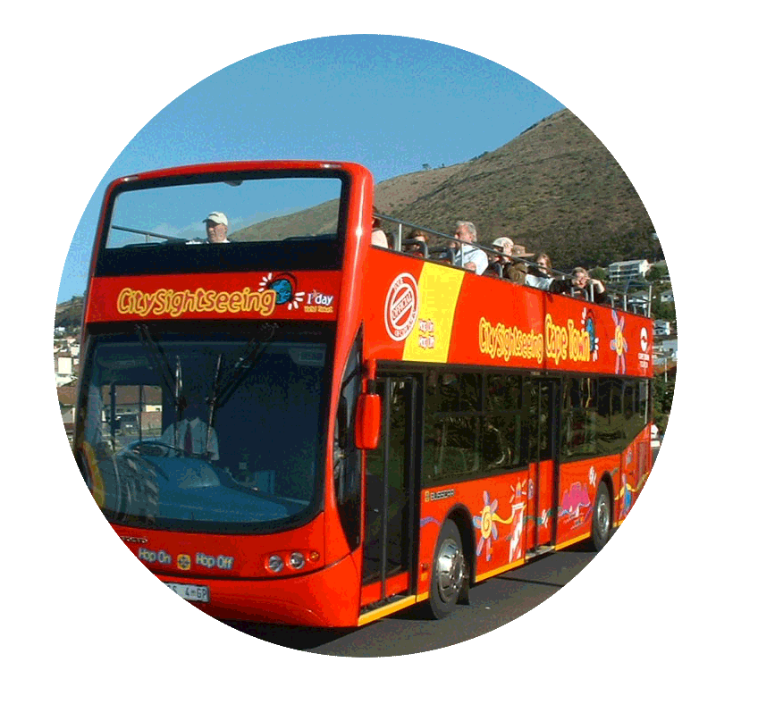 bus